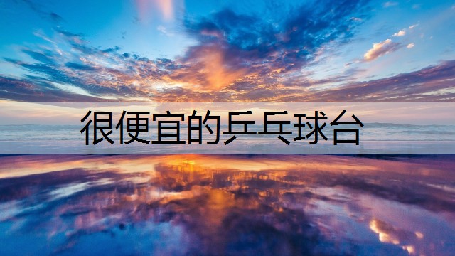 很便宜的乒乓球台