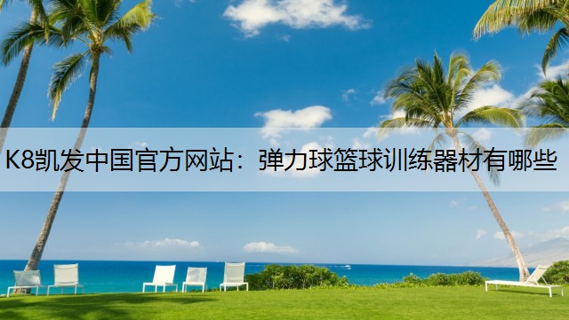 K8凯发中国官方网站：弹力球篮球训练器材有哪些