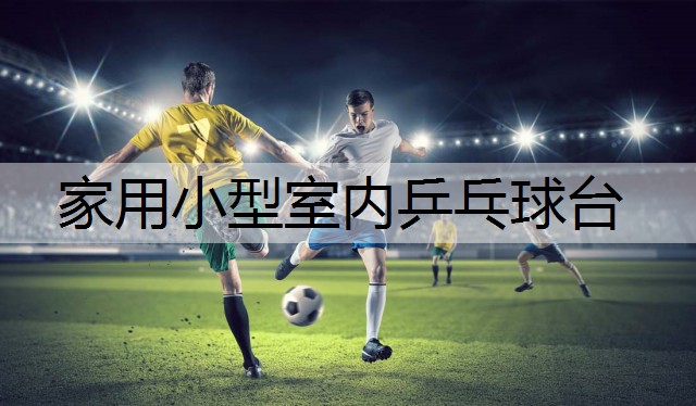 家用小型室内乒乓球台