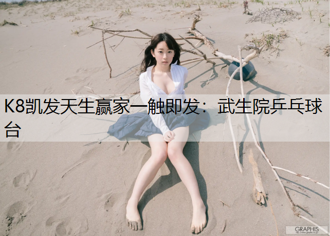 K8凯发天生赢家一触即发：武生院乒乓球台