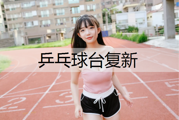 乒乓球台复新