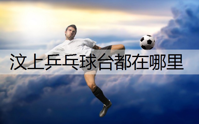 汶上乒乓球台都在哪里