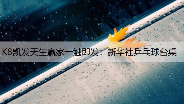 新华社乒乓球台桌