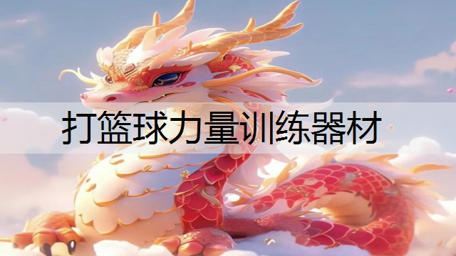 打篮球力量训练器材