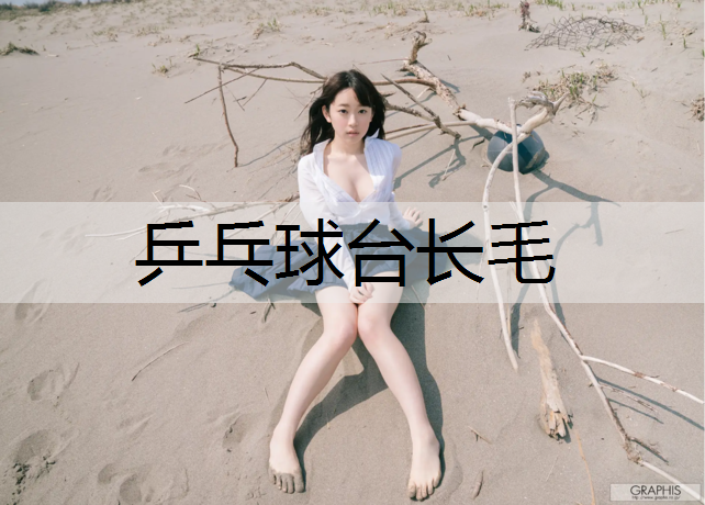 乒乓球台长毛