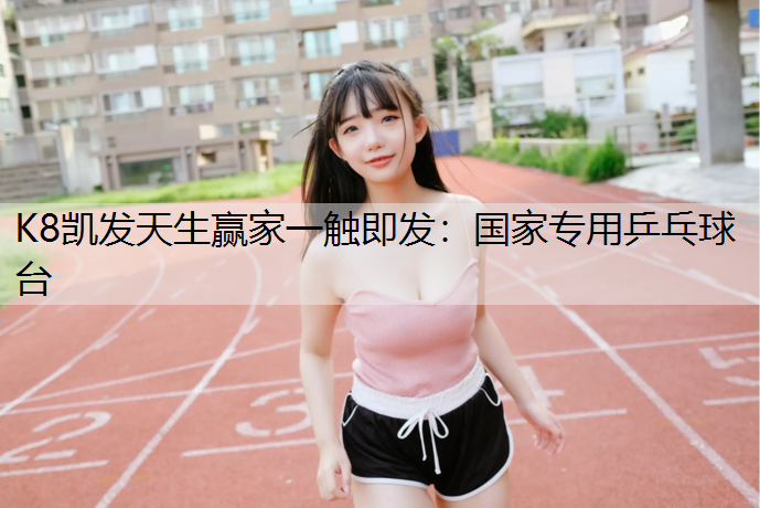 国家专用乒乓球台