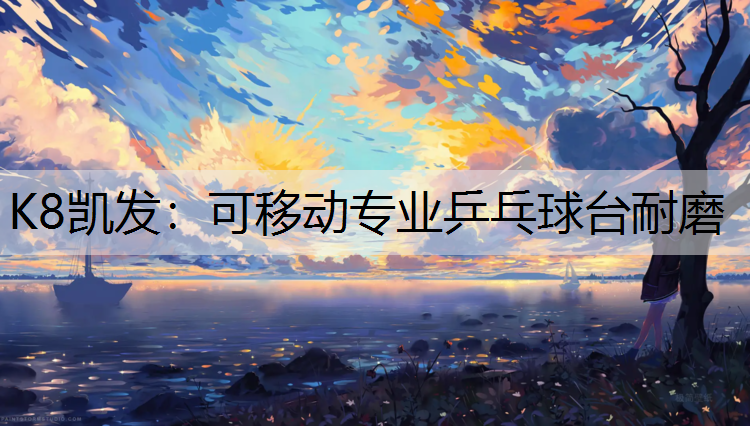 可移动专业乒乓球台耐磨