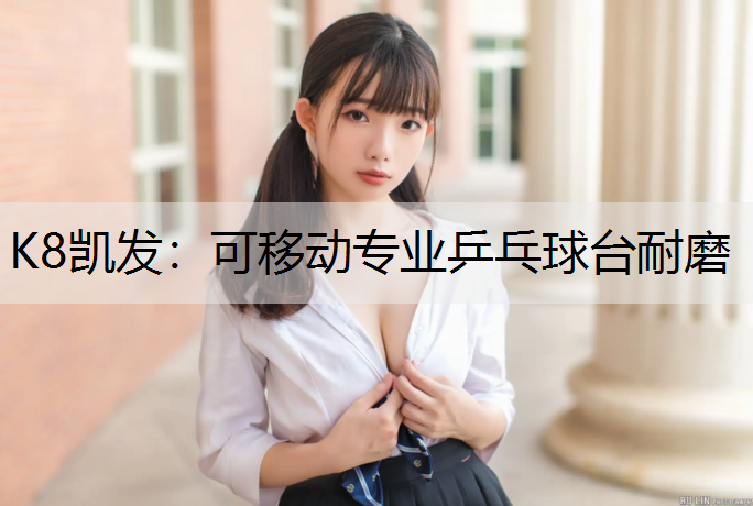 可移动专业乒乓球台耐磨